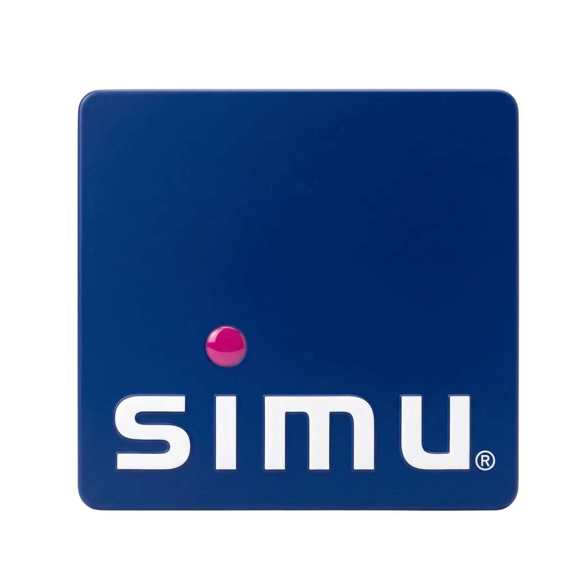 Somfy RS100 rideau metallique